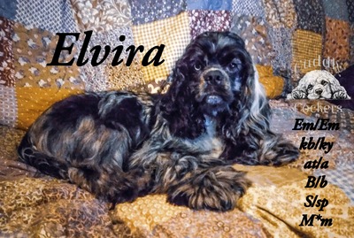 Elvira Blue Moon (Elvira)